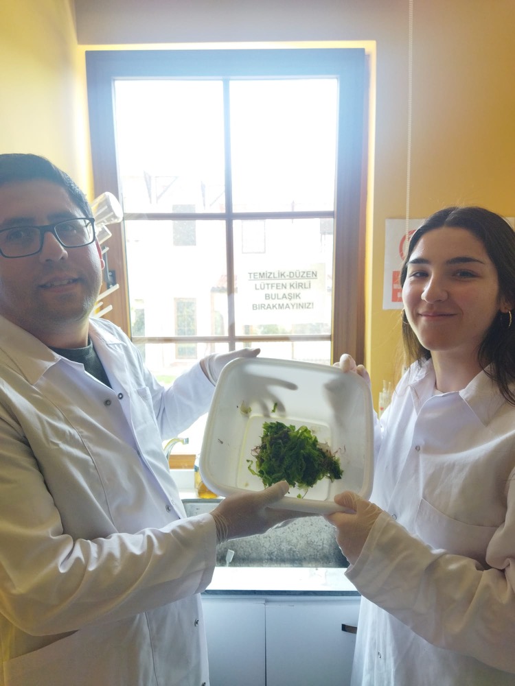 Serhan Bozkurt and Öznur Koçak holding a tray of fresh algae